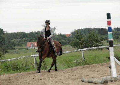 oboz-konie-2016-7-3-0079