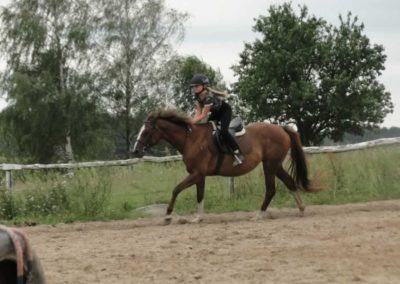 oboz-konie-2016-7-3-0082