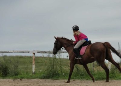 oboz-konie-2016-7-3-0083