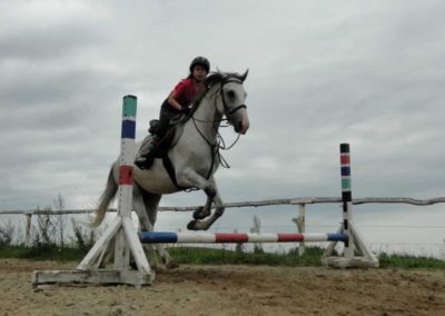oboz-konie-2016-7-3-0185