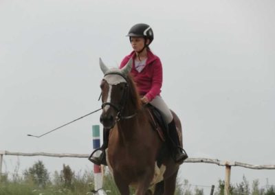 oboz-konie-2016-7-4-0004