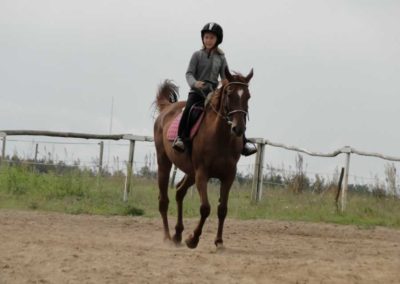 oboz-konie-2016-7-4-0022