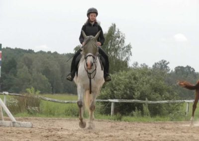 oboz-konie-2016-7-4-0028