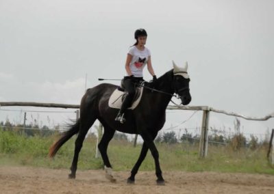 oboz-konie-2016-7-4-0039