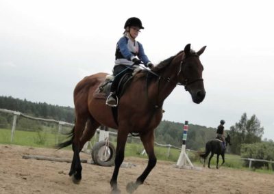 oboz-konie-2016-7-4-0043
