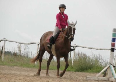 oboz-konie-2016-7-4-0045