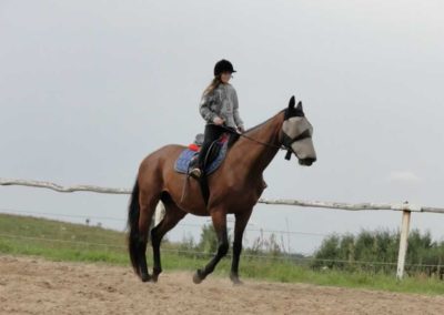 oboz-konie-2016-7-4-0049