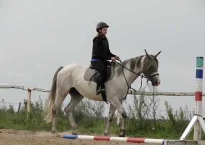 oboz-konie-2016-7-4-0059