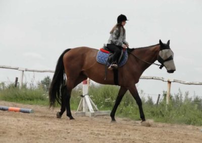oboz-konie-2016-7-4-0060