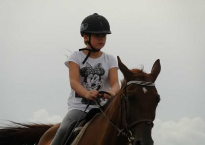 oboz-konie-2016-7-4-0075