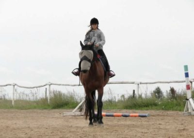 oboz-konie-2016-7-4-0090