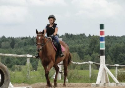 oboz-konie-2016-7-4-0152
