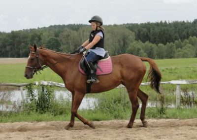 oboz-konie-2016-7-4-0172