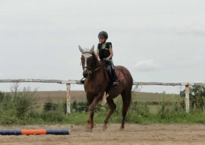 oboz-konie-2016-7-4-0181