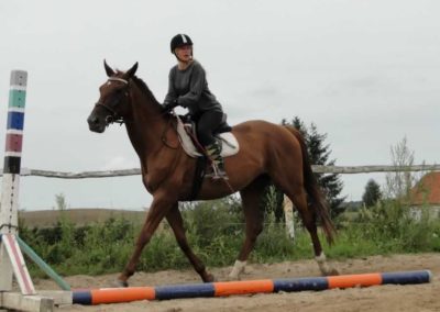oboz-konie-2016-7-4-0200