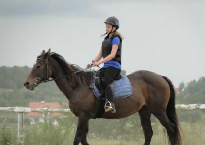 oboz-konie-2016-7-4-0252