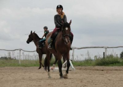 oboz-konie-2016-7-4-0253