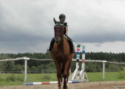 oboz-konie-2016-7-4-0273