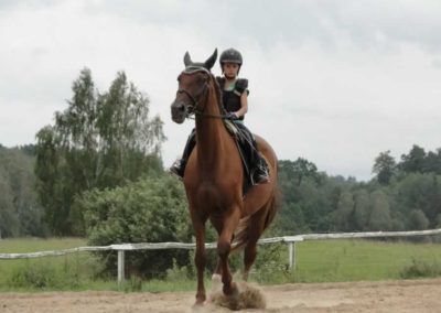 oboz-konie-2016-7-4-0290