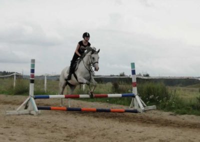oboz-konie-2016-7-4-0299