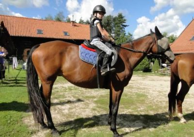 oboz-konie-2016-7-5-0002