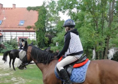 oboz-konie-2016-7-5-0013