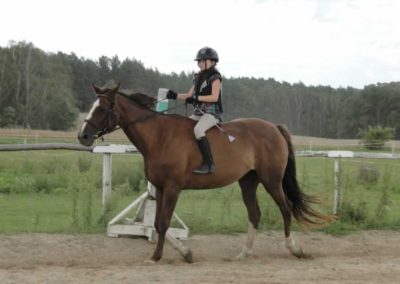 oboz-konie-2016-7-5-0093