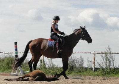 oboz-konie-2016-7-6-0009