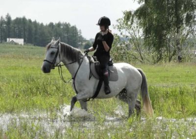 oboz-konie-2016-7-6-0129