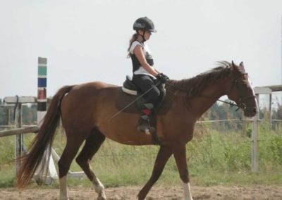 oboz-konie-2016-7-6-0178