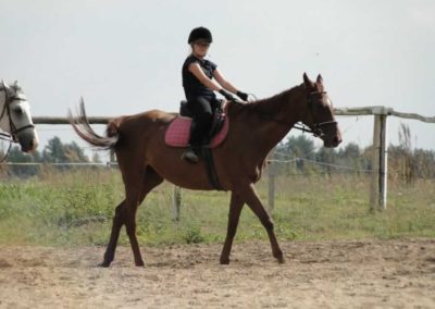 oboz-konie-2016-7-6-0181