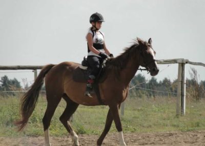 oboz-konie-2016-7-6-0183