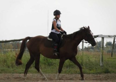 oboz-konie-2016-7-6-0188