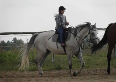 oboz-konie-2016-7-6-0194
