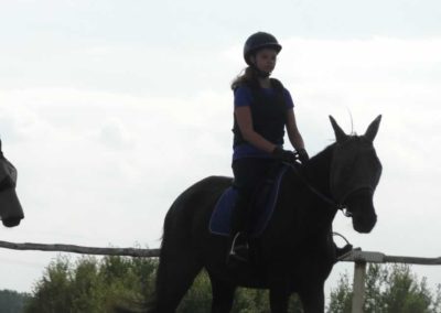 oboz-konie-2016-7-6-0196