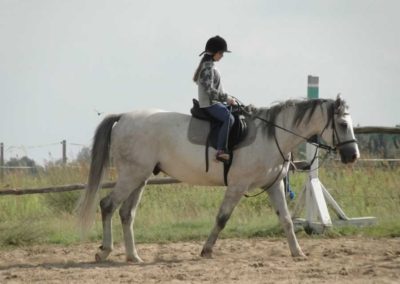 oboz-konie-2016-7-6-0205