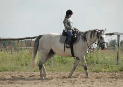 oboz-konie-2016-7-6-0206