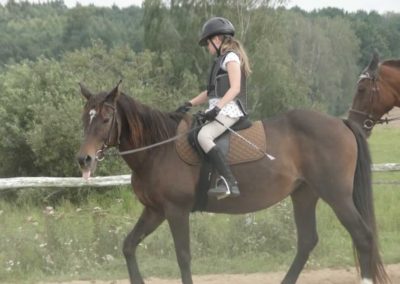 oboz-konie-2016-7-6-0209
