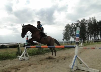 oboz-konie-2016-7-6-0221