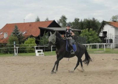 oboz-konie-2016-7-6-0226