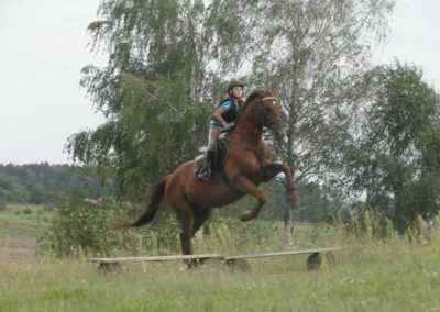 oboz-konie-2016-7-6-0233