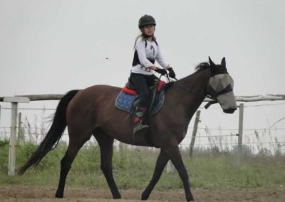oboz-konie-2016-7-7-0007