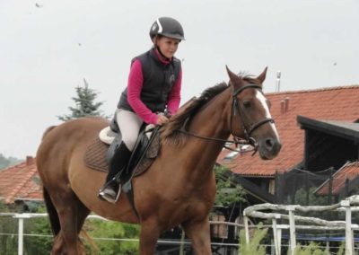 oboz-konie-2016-7-7-0024