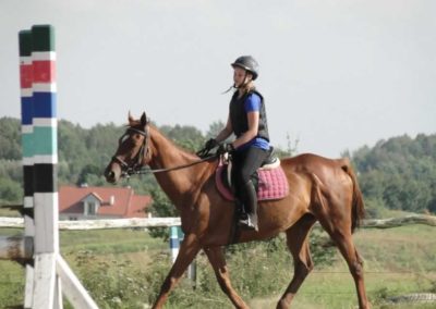 oboz-konie-2016-7-7-0099