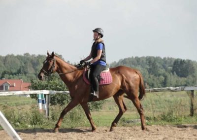 oboz-konie-2016-7-7-0106
