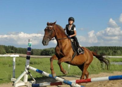oboz-konie-2016-7-7-0188