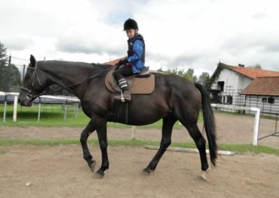 oboz-konie-2016-8-1-0013