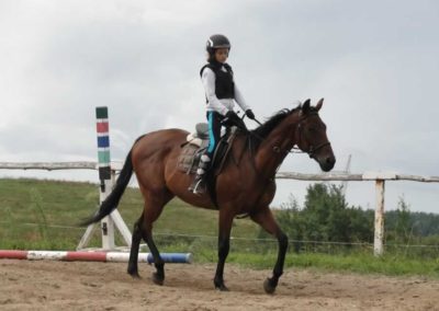 oboz-konie-2016-8-1-0015