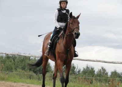 oboz-konie-2016-8-1-0016