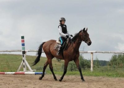 oboz-konie-2016-8-1-0028